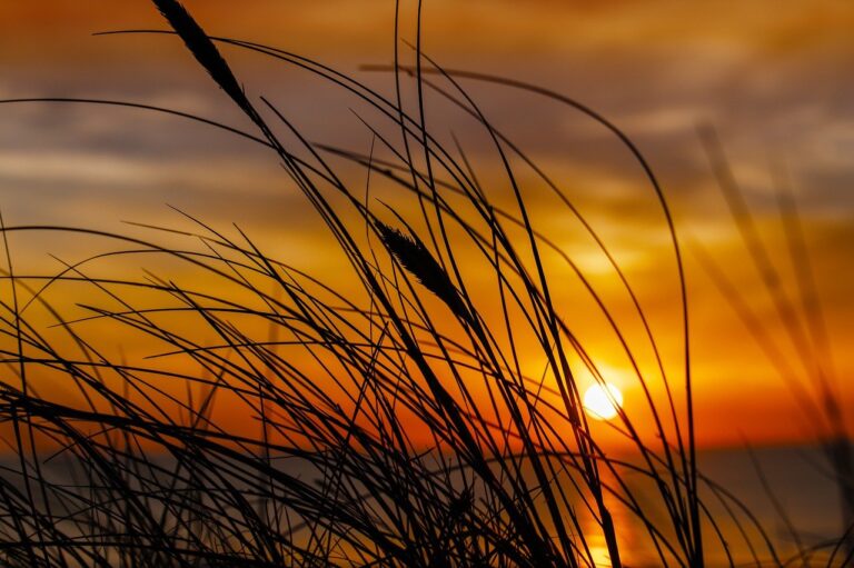 short sides long top haircut boys