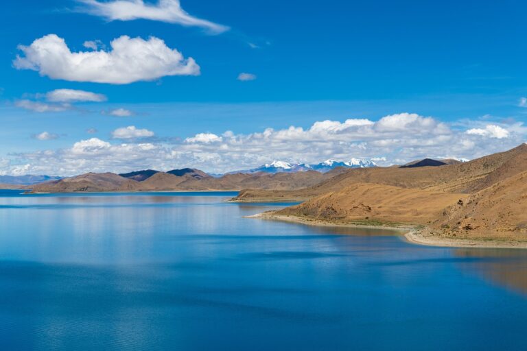 which graphic design software is free gfxtek