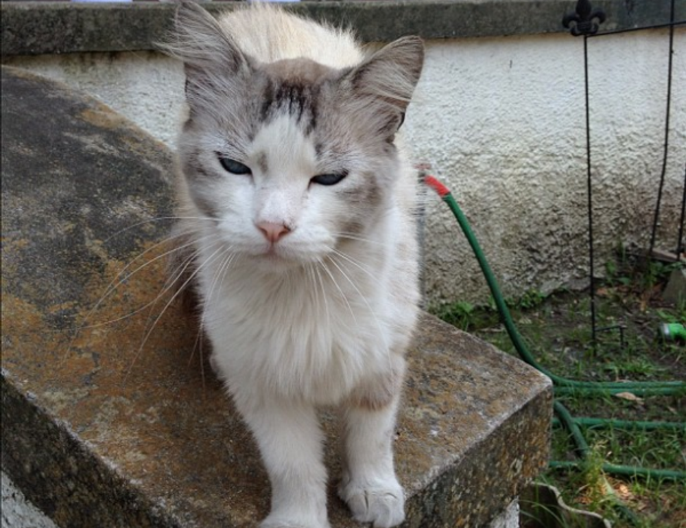 what is 8tshare6a python code