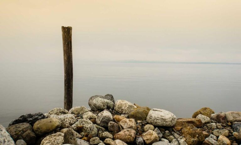 message code dropbox 8737.idj.029.22