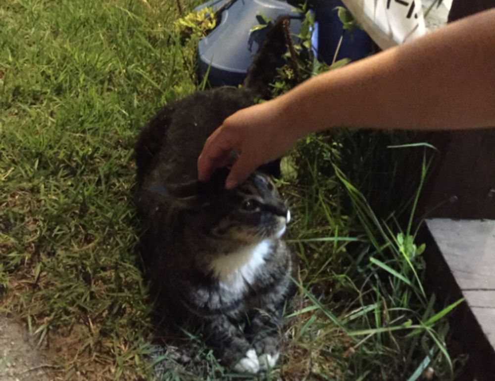 why is uhoebeans software update failing