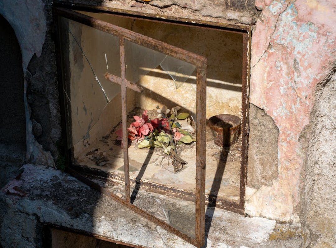 Beyond the Big Four: Finding Value in Niche Sports