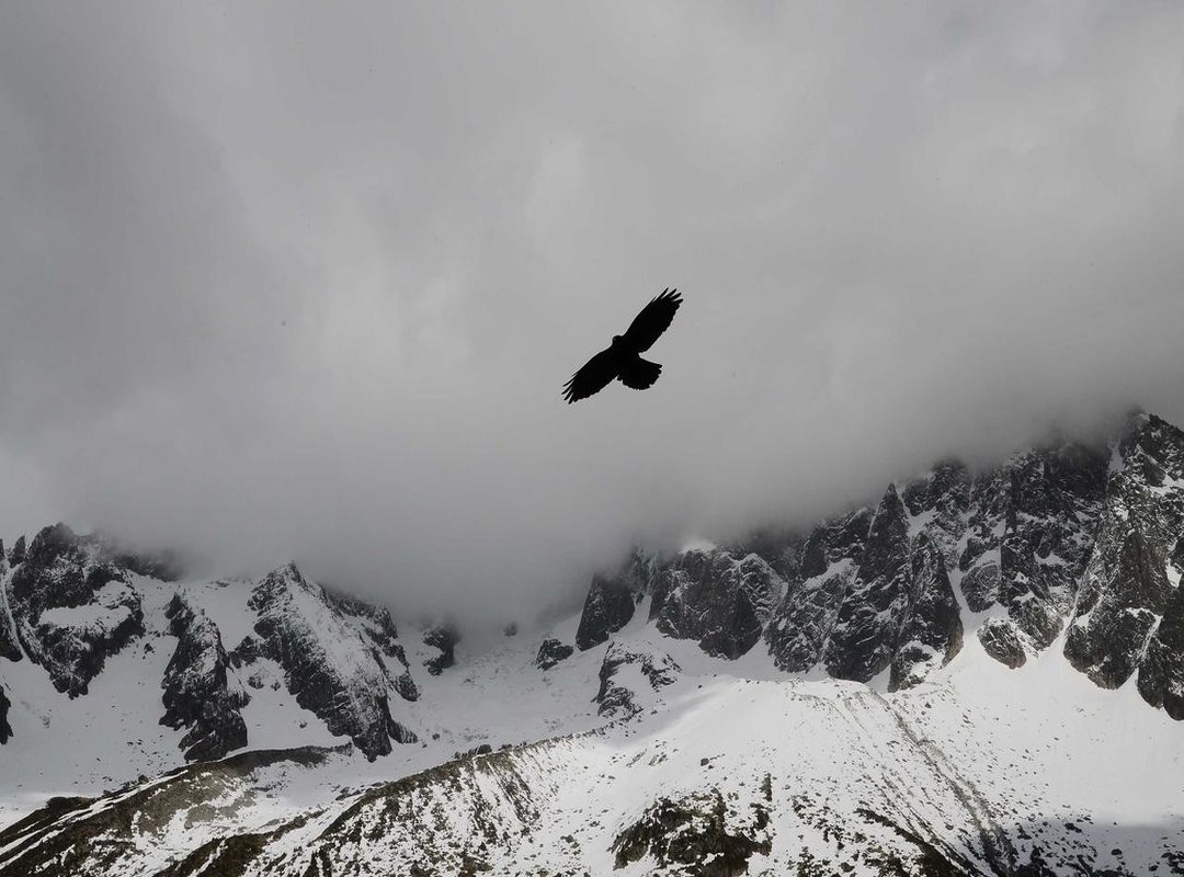 Quick Reference Chart: Common CM to Feet Conversions