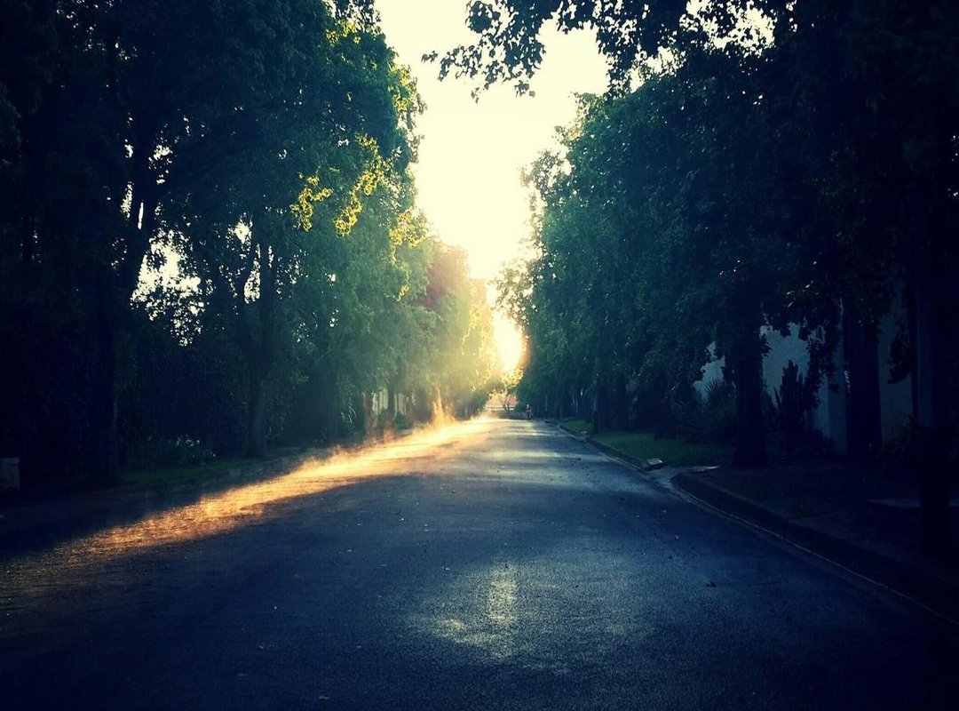 The Honest Breakdown: Pros and Cons of Farmwood Chicken