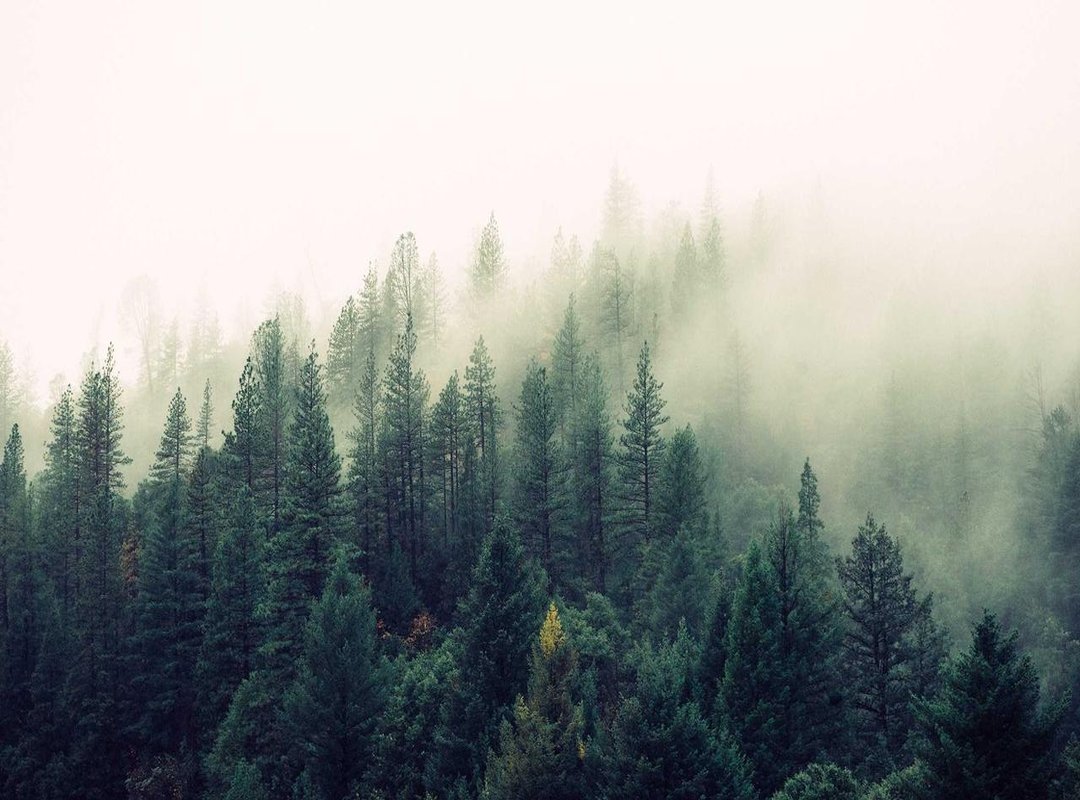 Finding the Right File: How to Safely Download Malay Subtitles