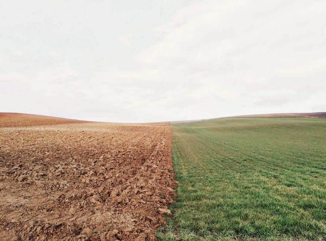 The Essential Starting Point: Yang Yang's Most Iconic Dramas