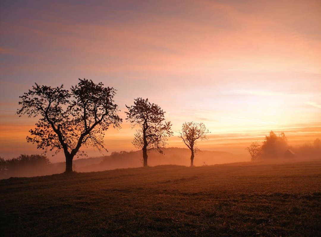 Creating Your Own Sunrise Good Morning Nature GIFs