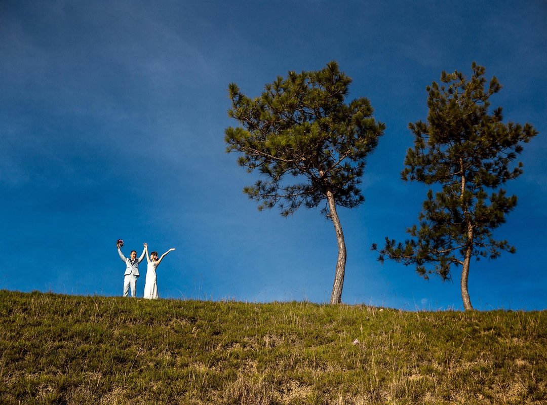 Recent Appearances and What They Tell Us