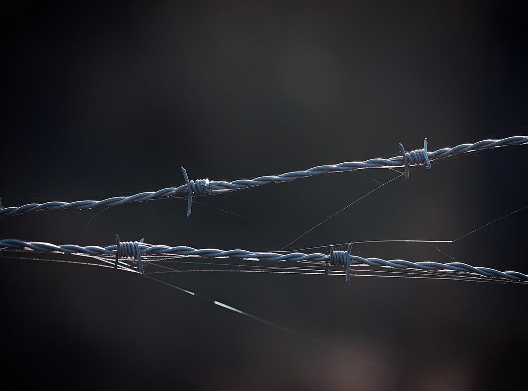 The Controversy and Safeguards Surrounding Young Performers